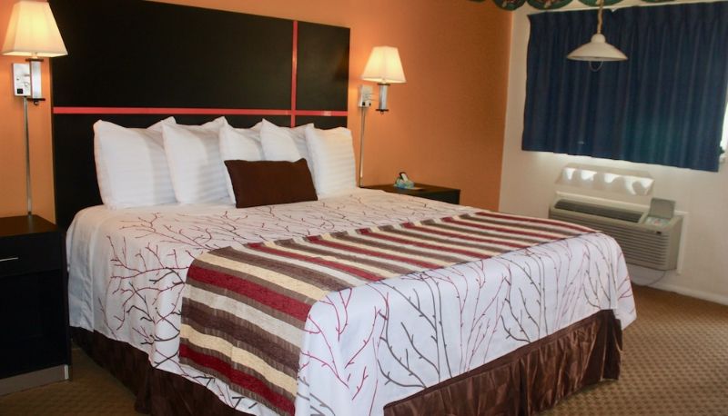 Standardzimmer - Chaparral Motor Inn