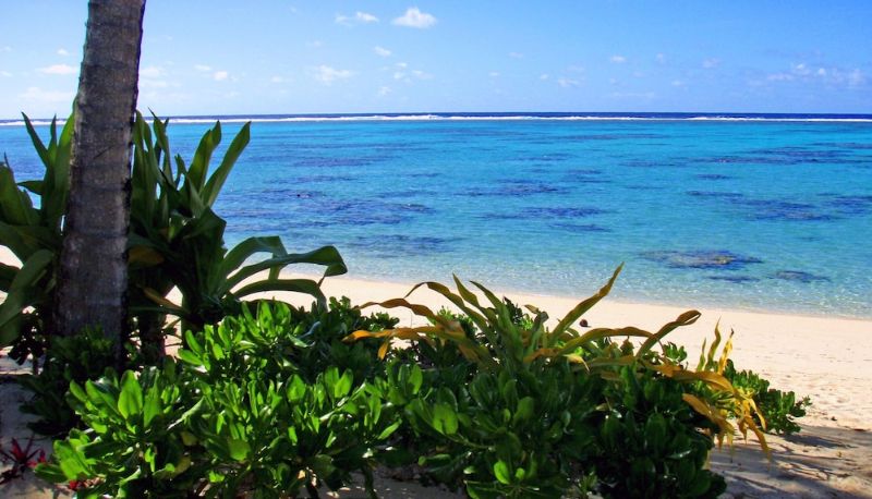 Bilgi - Rarotonga Beach Bungalows