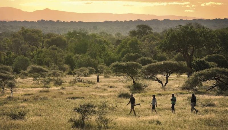 Sports facilities - Lion Sands Tinga Lodge