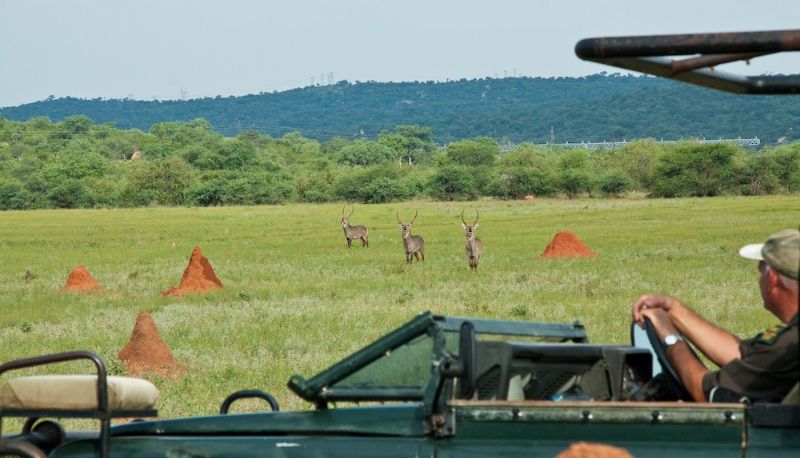 Info - Casart Game Lodge