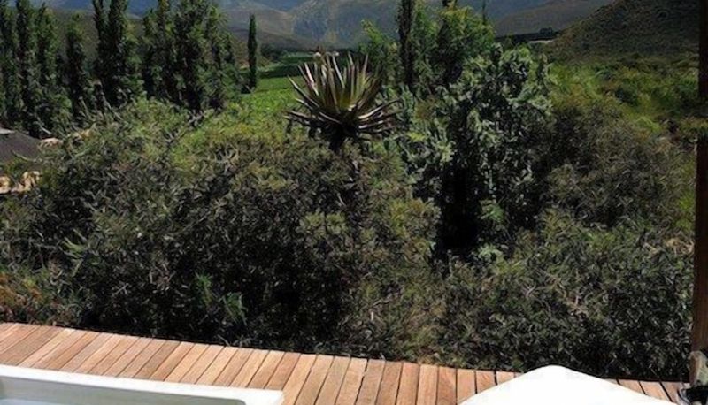 Pool - Mymering Guest House