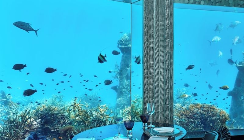 Restoran - Niyama Private Islands Maldives