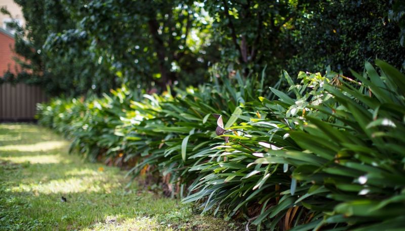 Garden - Merivale Motel