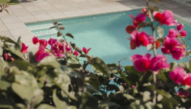 Piscina - Atlántico Boutique Hotel