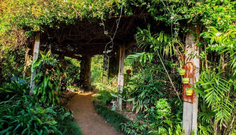 Info - Tamborine Mountain B&B