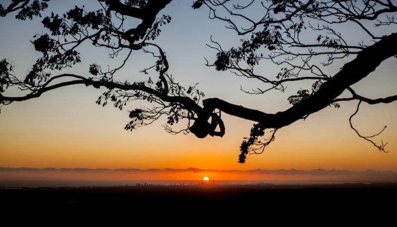 Info - Tamborine Mountain B&B