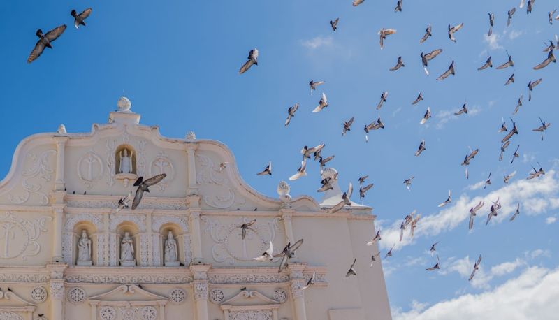 Bilgi - Hotel Antigua Comayagua