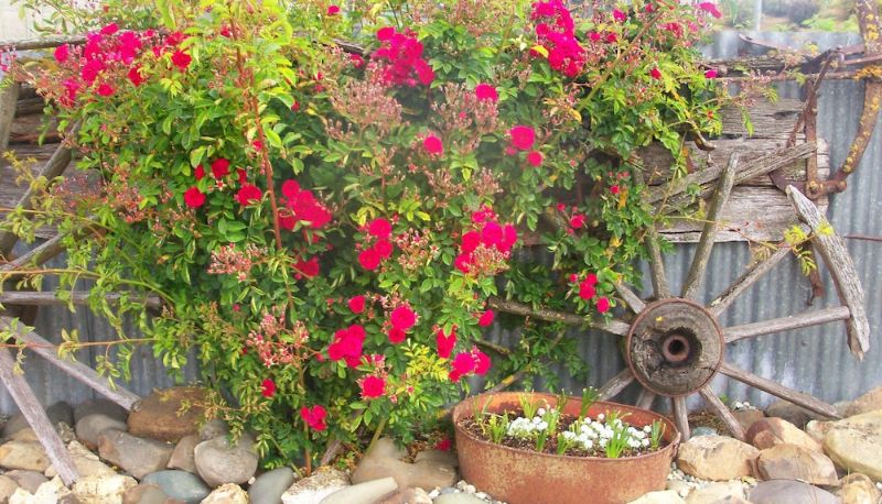 Giardino - The Reservation B&B