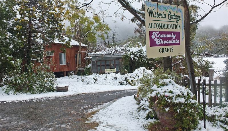Info - Wisteria Cottage and Cabins