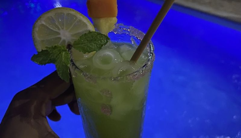 Bar - Hôtel Coco Lodge