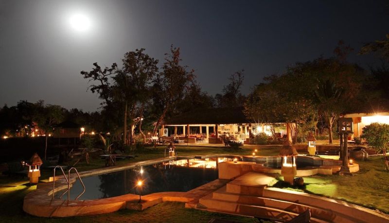 Piscina - Tuli Tiger Resort