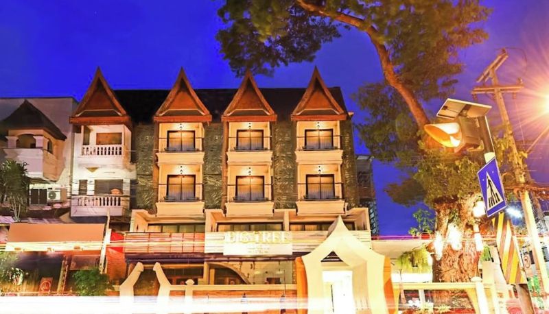 Bilgi - Big Tree Old Town Hotel