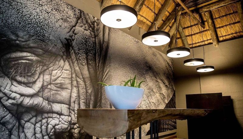 Lobby - Royal Thonga Safari Lodge