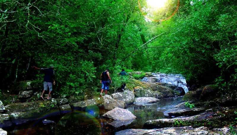 Bilgi - The Rainforest Ecolodge
