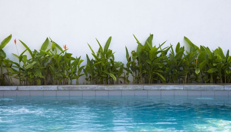 Piscina - Arabella on Boossa