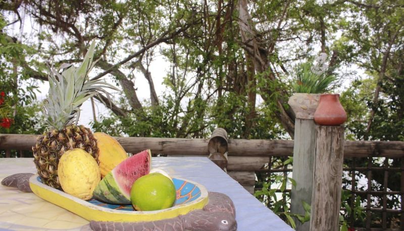 Info - Hotel Isla Palma Playa Y Ecohabs