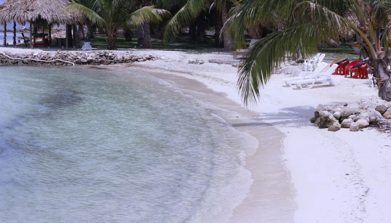 Info - Hotel Isla Palma Playa Y Ecohabs