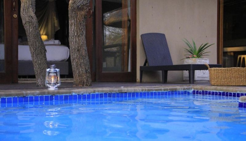 Piscine - Raptors Lodge N16