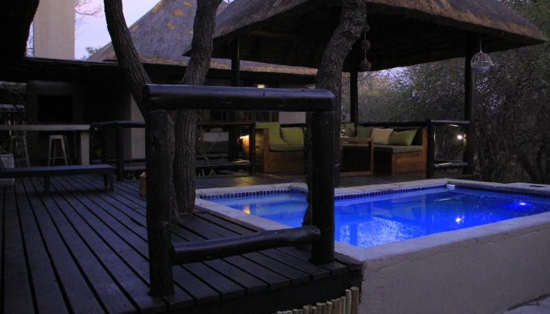 Piscine - Raptors Lodge N16