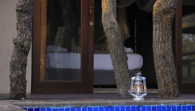 Piscine - Raptors Lodge N16