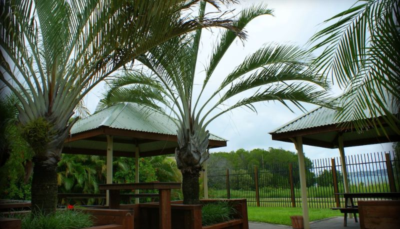Ristorante - Wongai Beach Hotel