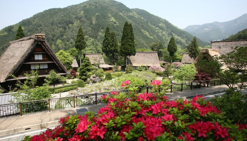 Bilgi - Ooedo Onsen Monogatari Gero Bekkan