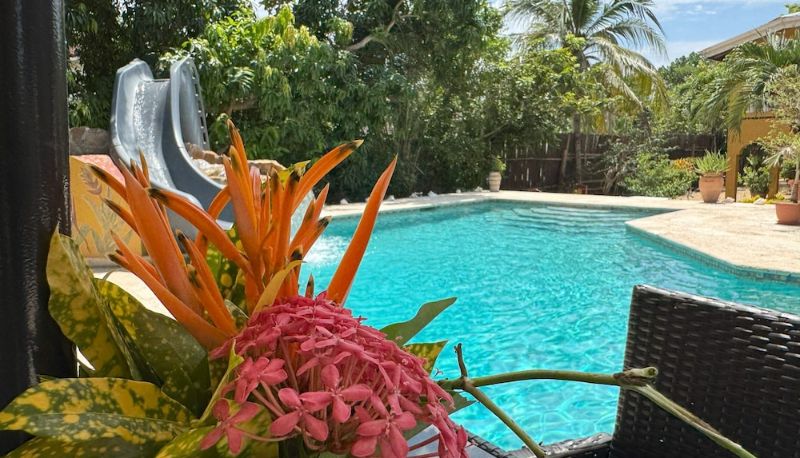 Havuz - Caribbean Shores Bed & Breakfast