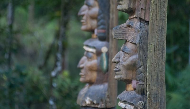 Info - Paraiso Eco Lodge