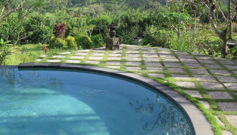 Zwembad - Villa Lihat Sawah