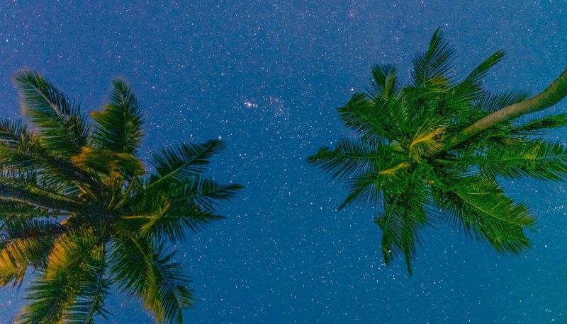 ガーデン - Nazaki Beach Hotel Maldives