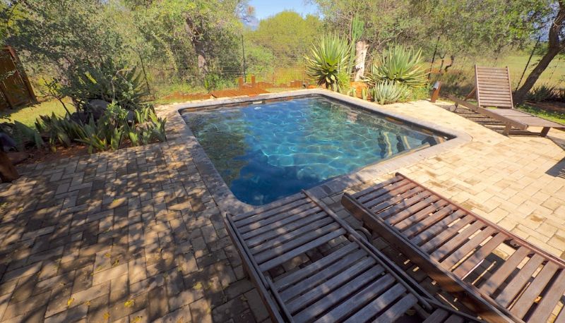 Piscine - Raptors Lodge