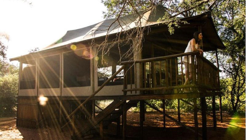 Bilgi - Iphofolo Lodge