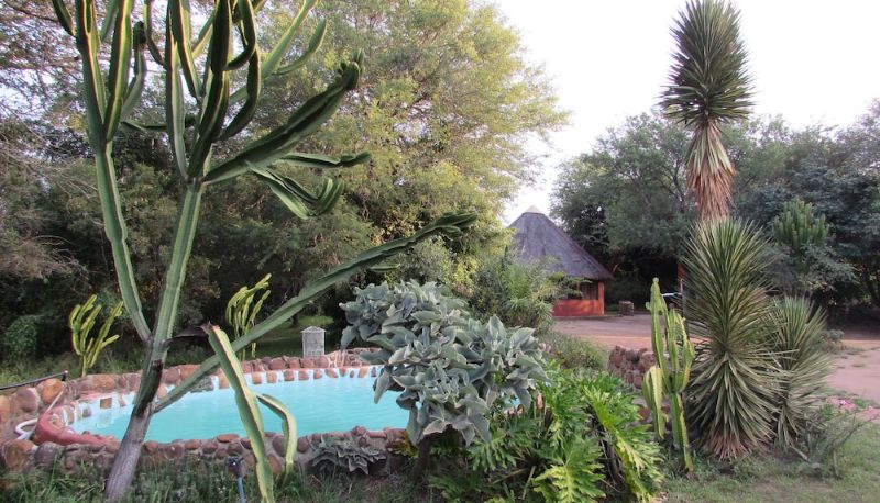 Piscina - Amanzimloti Riverside Bush Camp
