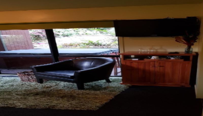 Info - Pohutukawa Coast Bed & Breakfast