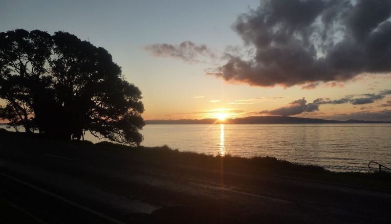 Info - Pohutukawa Coast Bed & Breakfast