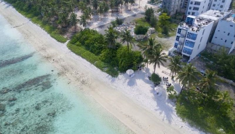 Otel açık alanı - Whiteharp Beach Inn