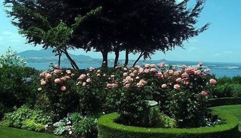 Giardino - Belle vue Boutique Lodge