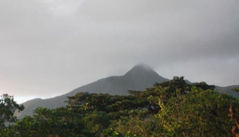 Info - Tanna Lava View Bungalows