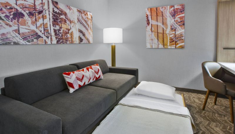 Zimmer - SpringHill Suites by Marriott Chattanooga North-Ooltewah