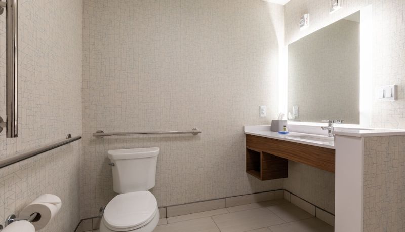 Daire - Holiday Inn Express & Suites GREENVILLE S - PIEDMONT by IHG