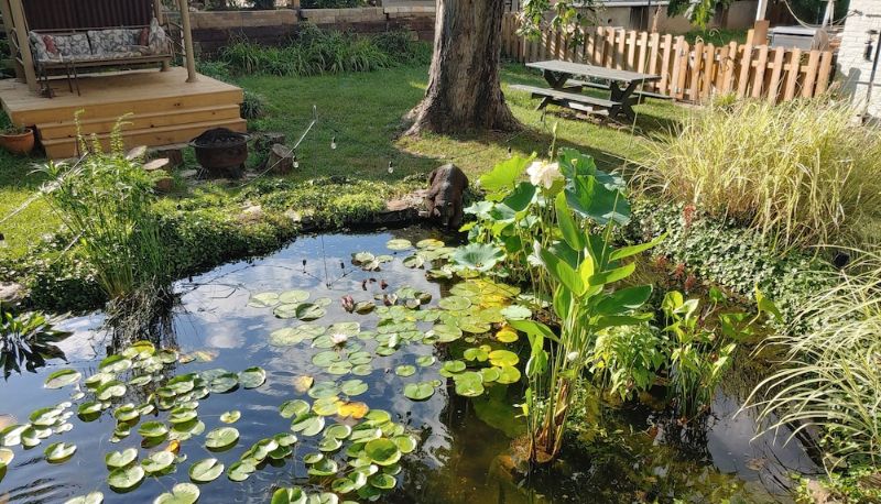 Info - Lily Garden Bed and Breakfast