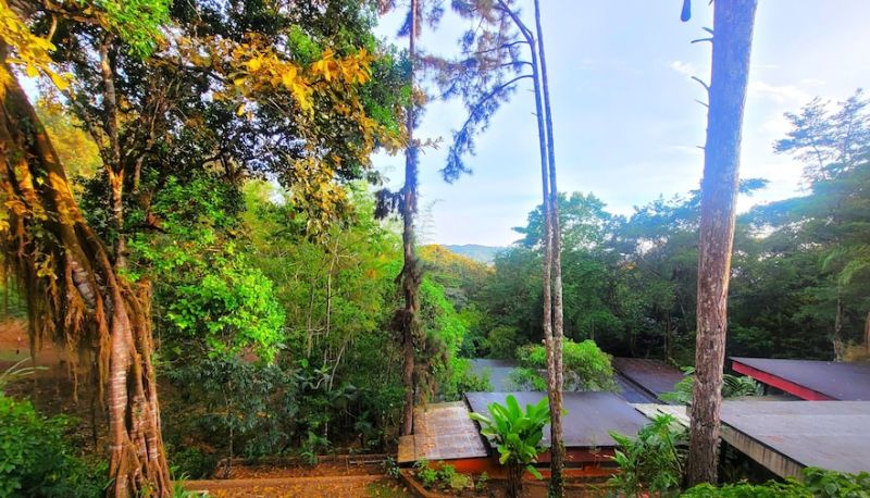 Info - La Semilla Ecolodge