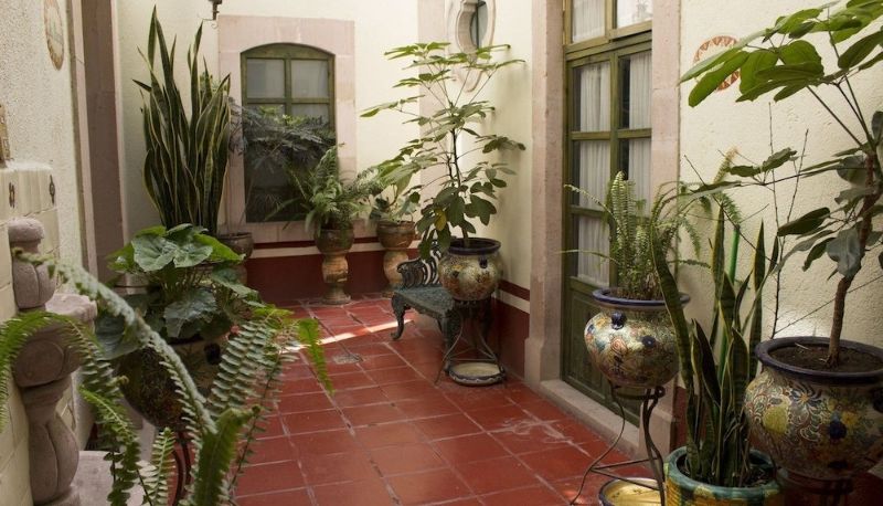 Bilgi - Casa del Pingorongo