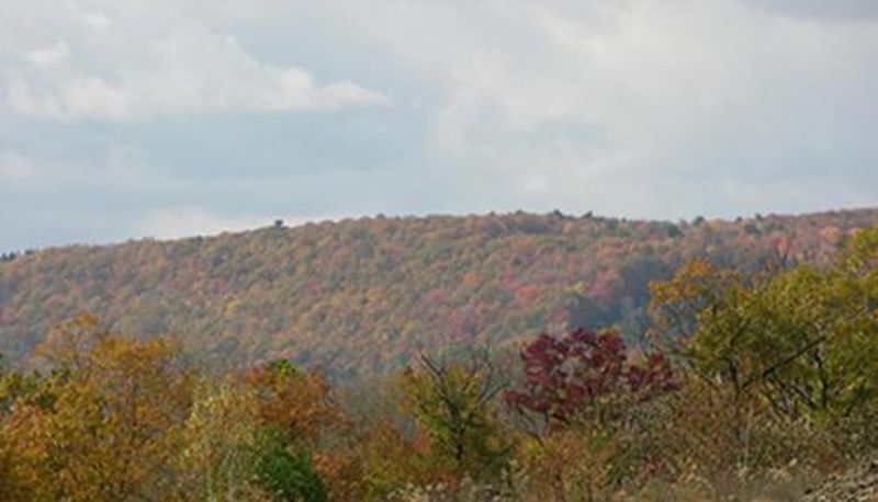 Info - Mahoning Inn