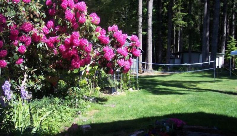 Garten - Mountain View Lodge