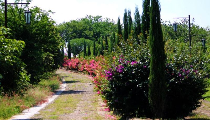 Dintorni - Hacienda San Nicolas de las Fuentes