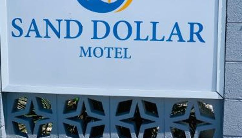 Bilgi - Sand Dollar Motel