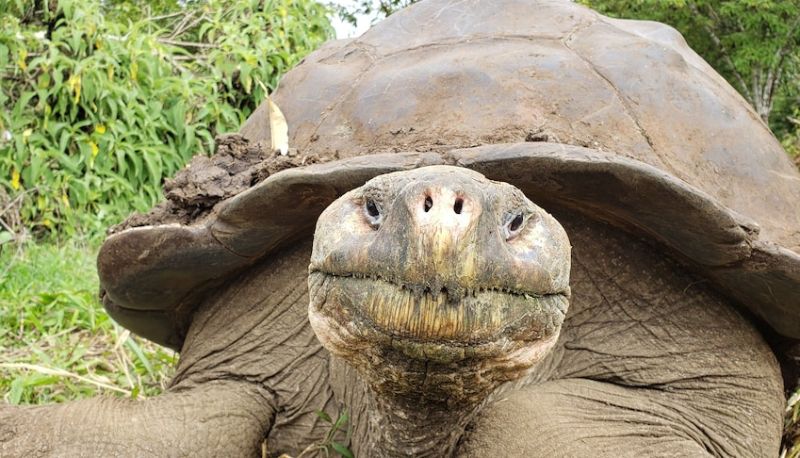 Bilgi - Galapagos Eco Friendly