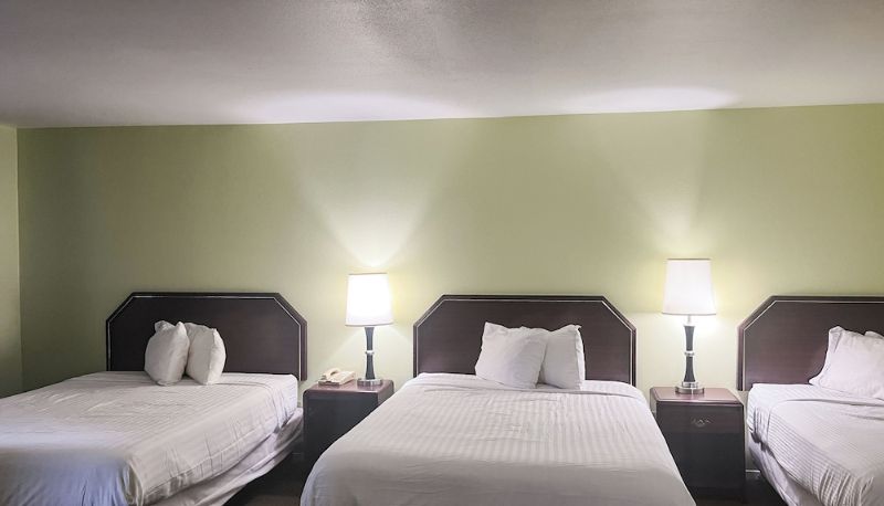 Superior oda (çift kişilik) - TX Motel 6 Tulia