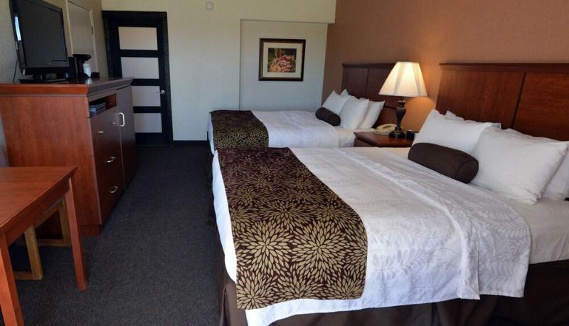 Camera superior (doppia) - Elephant Butte Inn